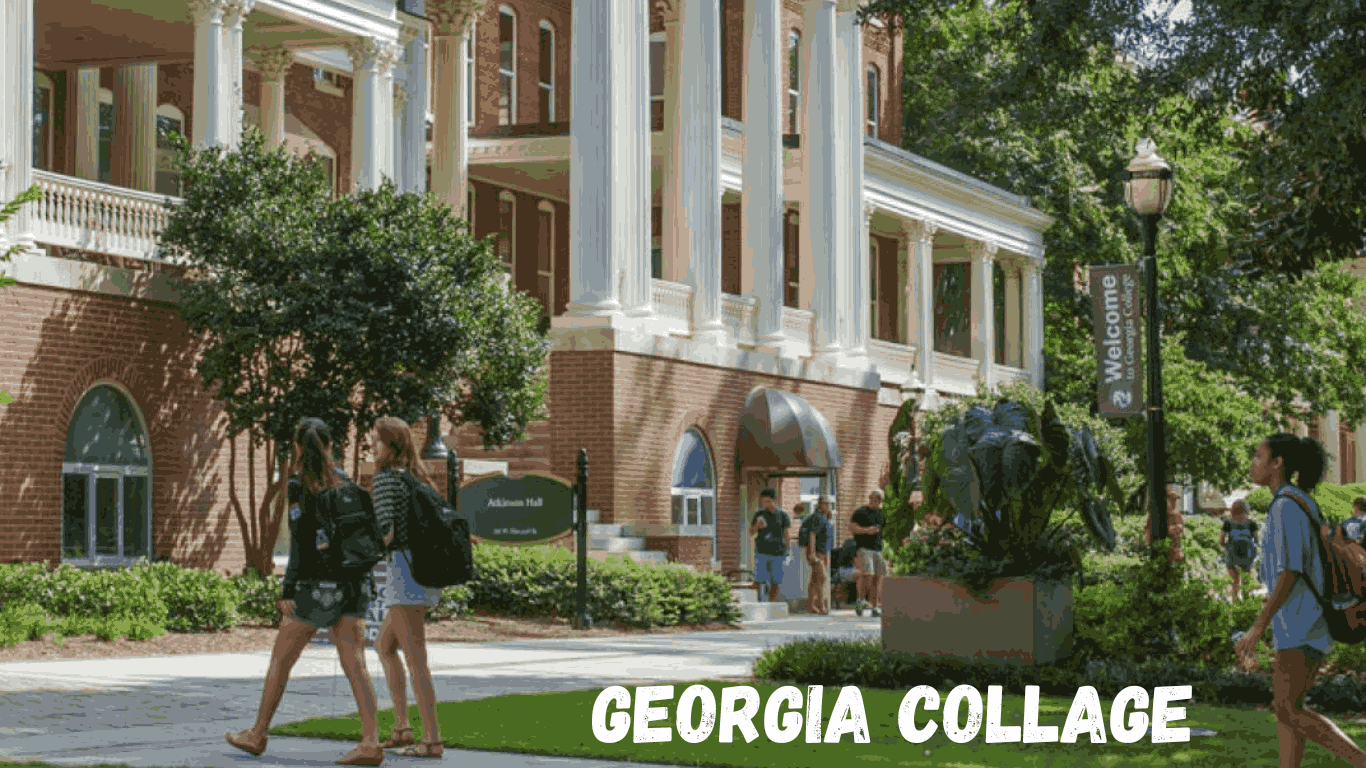 Georgia University